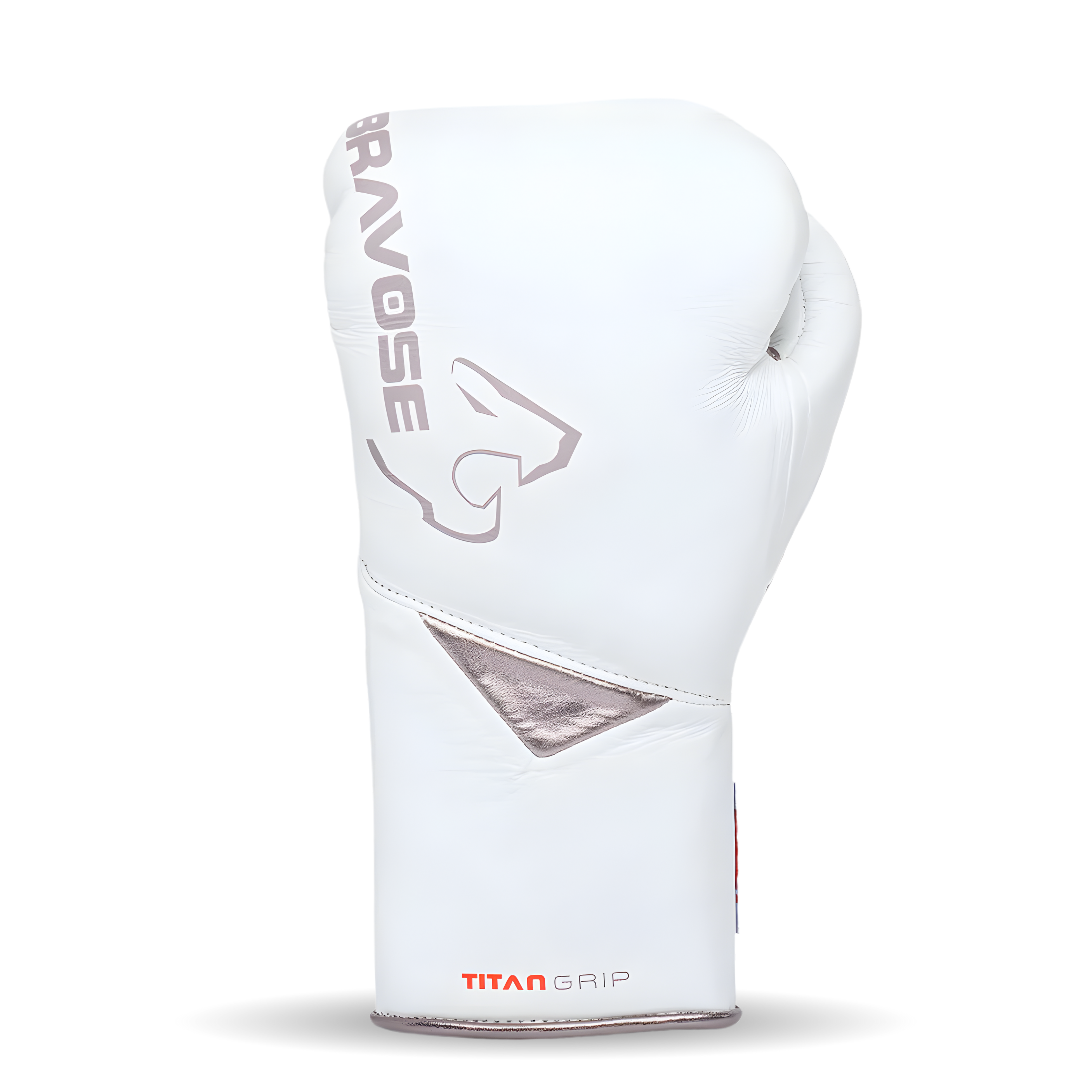 Titan Grip BBBOFC Horsehair Professional Fight Gloves