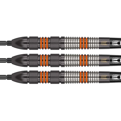 Target Raymond van Barneveld Black 80% Swiss