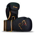 Alpha Boxing Gloves - Black Edition