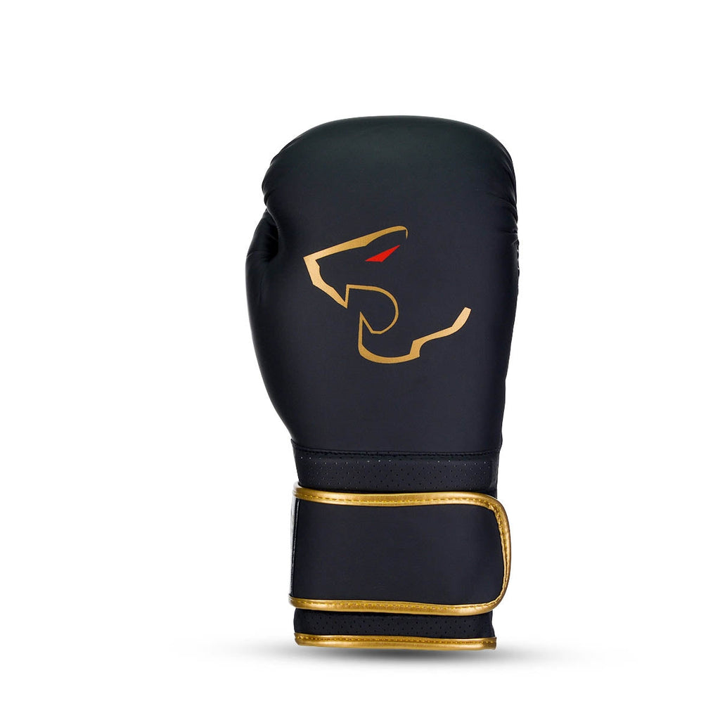 Alpha Boxing Gloves - Black Edition