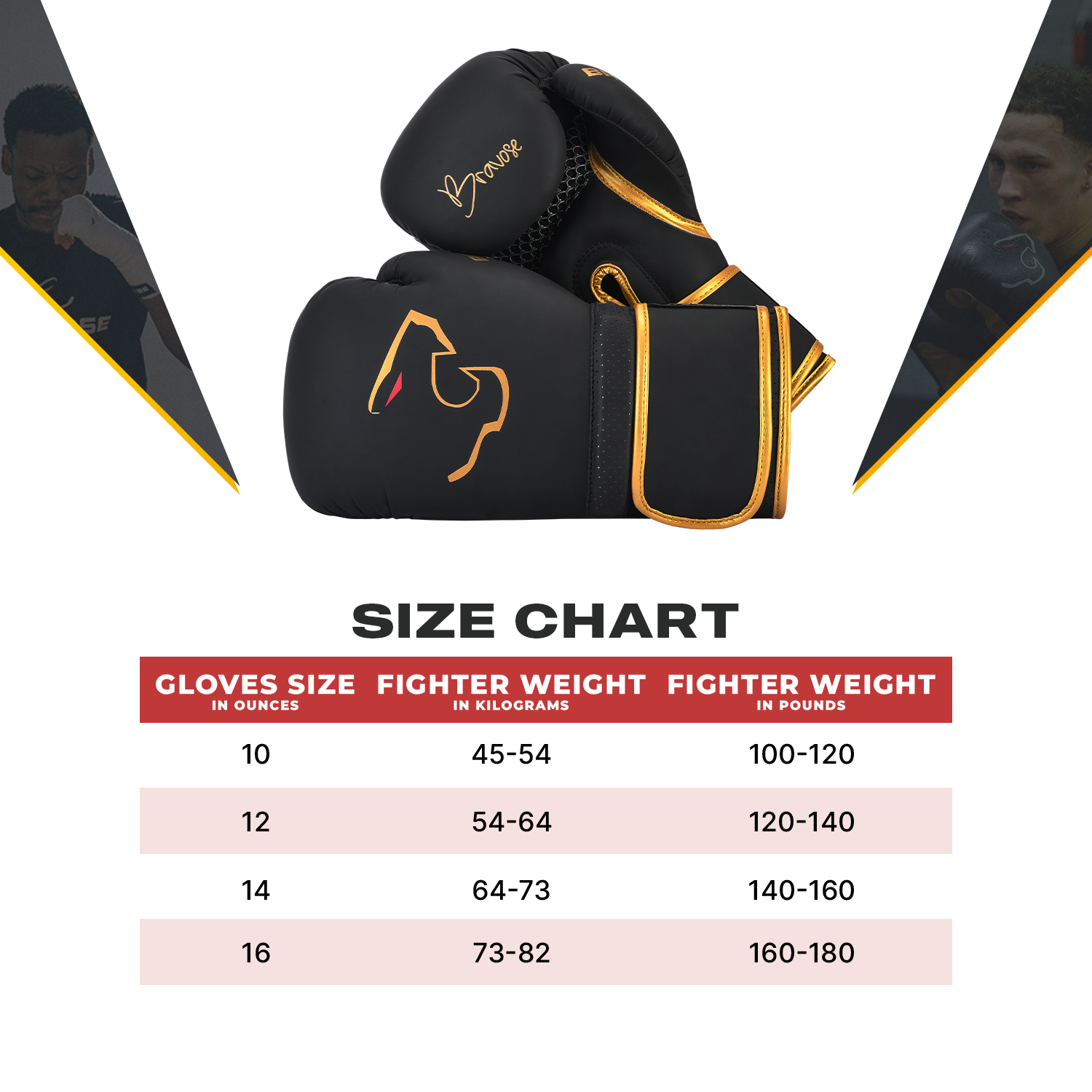 Alpha Boxing Gloves - Black Edition