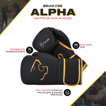 Alpha Boxing Gloves - Black Edition