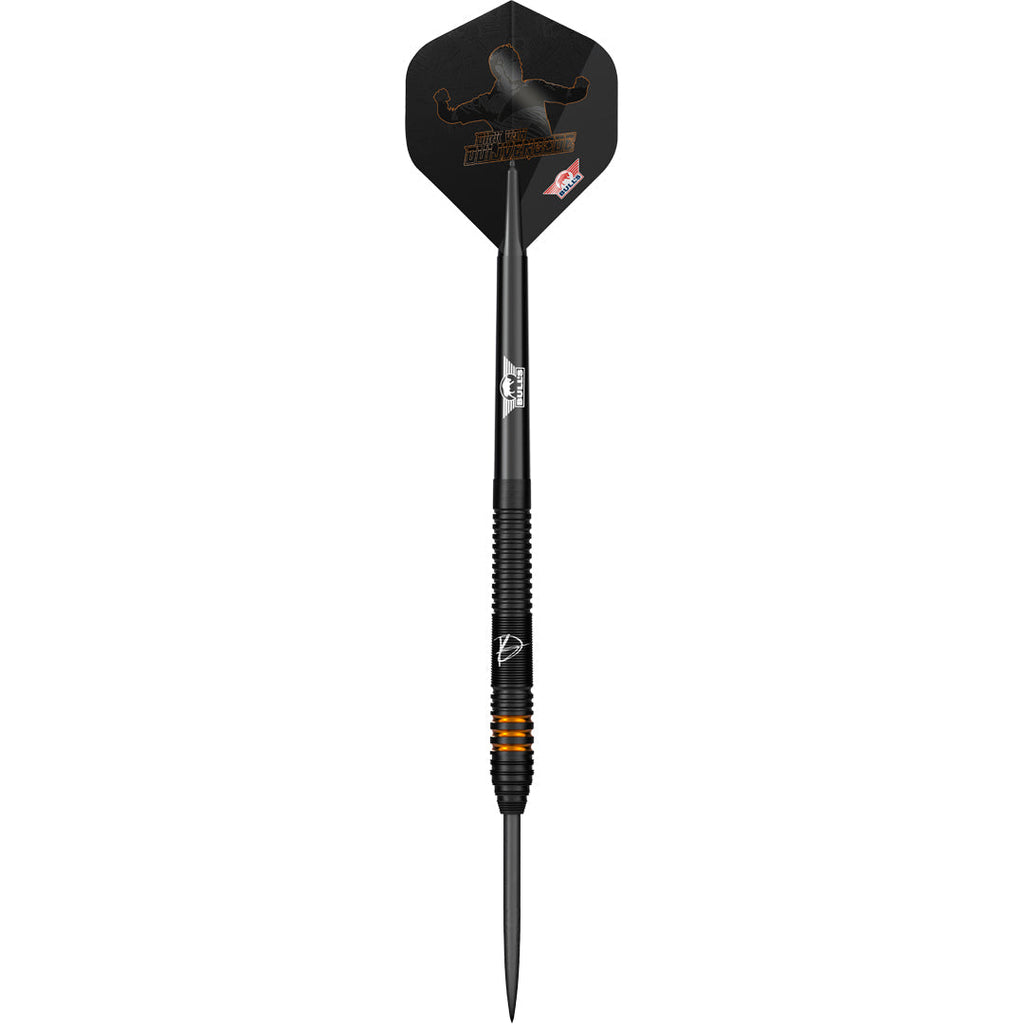 Bull's Dirk van Duijvenbode E2 90%