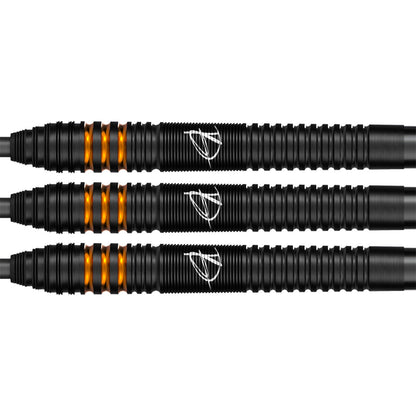 Bull's Dirk van Duijvenbode E2 90%