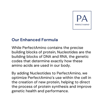 BodyHealth PerfectAmino (600 ct) – Easy-to-Swallow Vegan Amino Tablets for Muscle Recovery & Strength