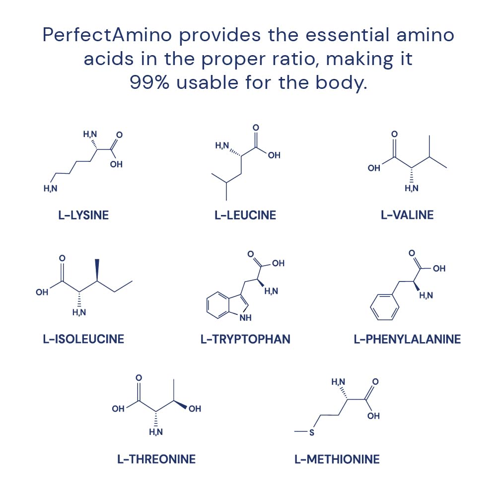 BodyHealth PerfectAmino 150 ct – Easy-to-Swallow Vegan Amino Acids with BCAAs for Muscle Recovery