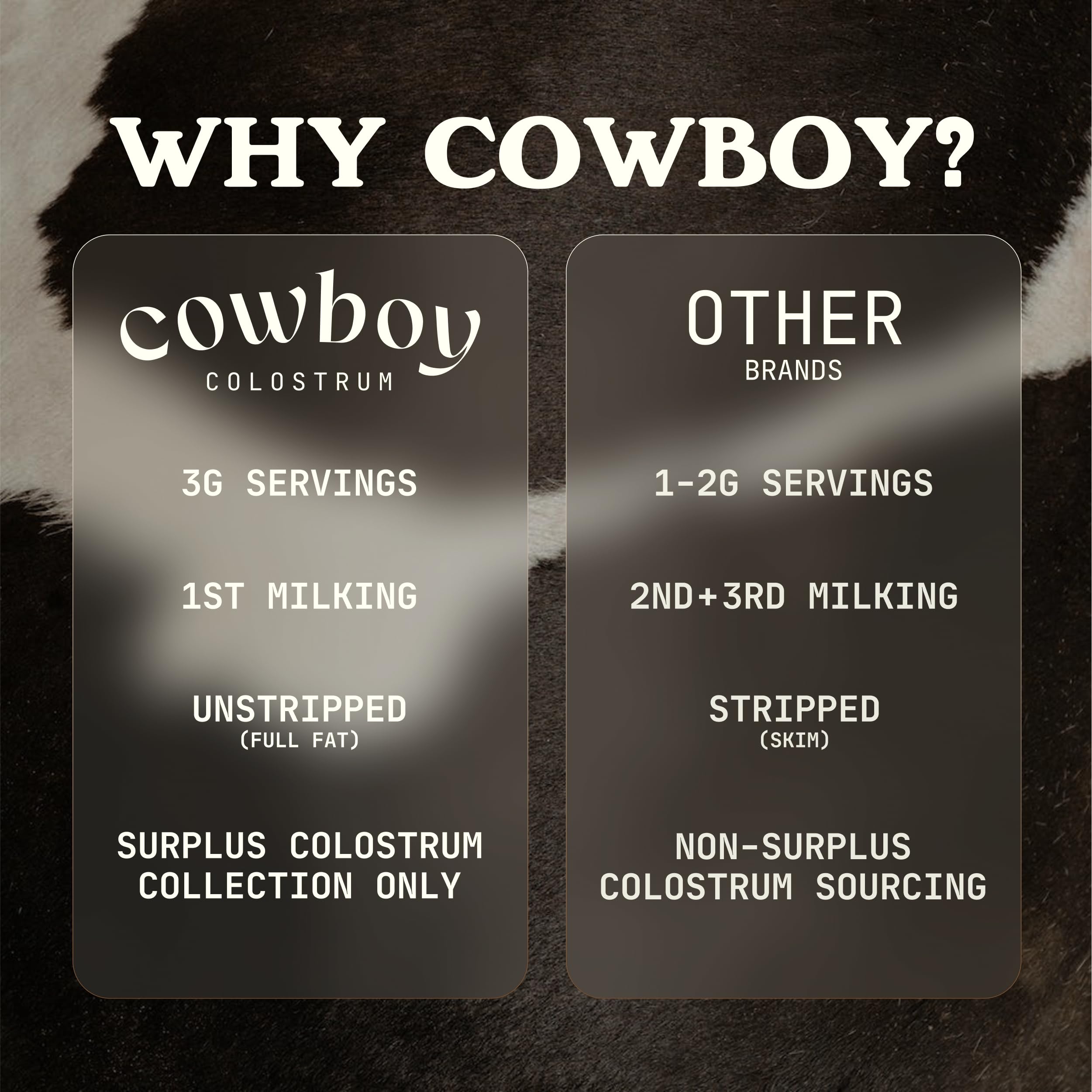 Cowboy Colostrum Powder – Grass-Fed Bovine Colostrum for Gut Health, Immunity, Skin & Hair (Vanilla, 40 Servings)