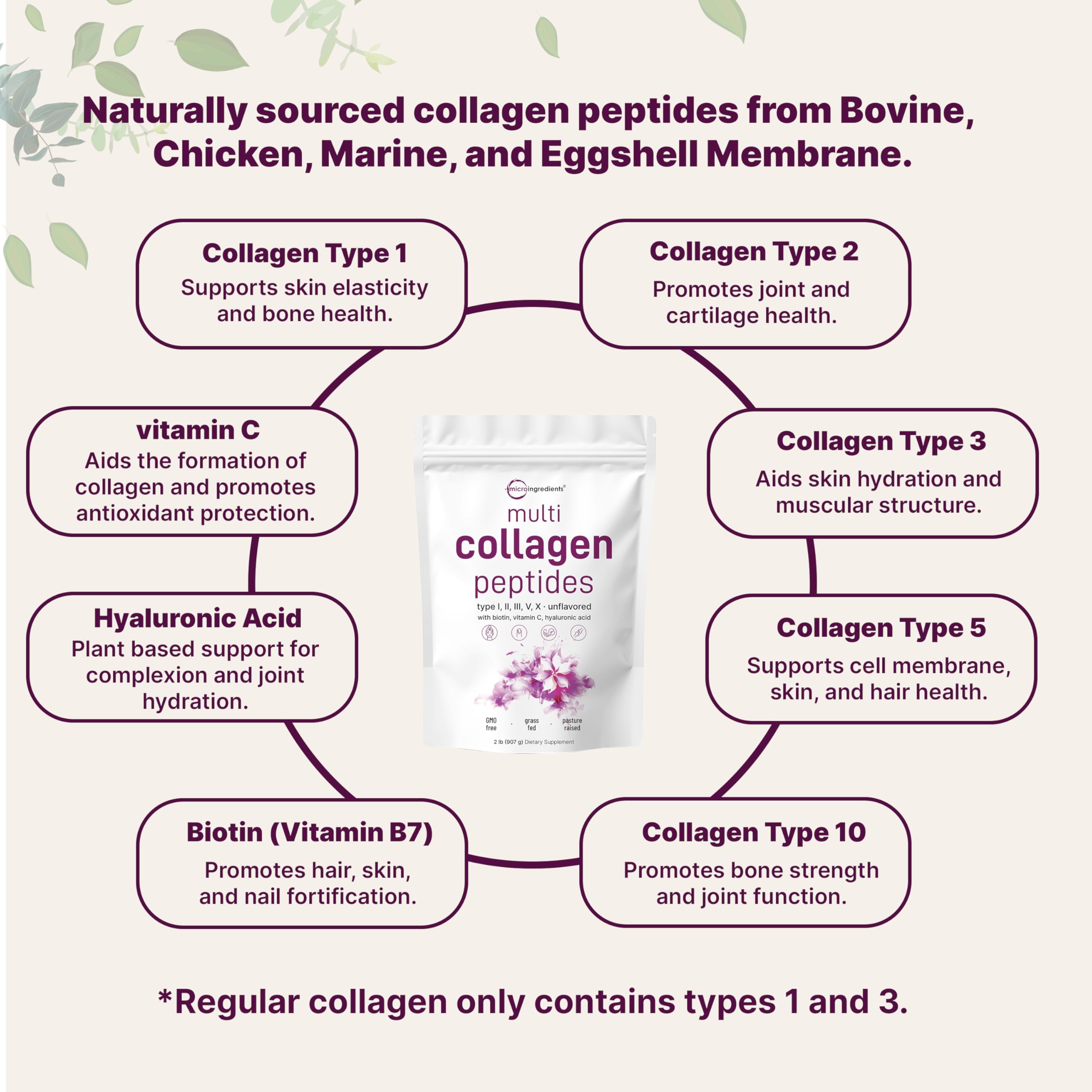 Micro Ingredients Multi Collagen Peptides Powder 2lb – Full Spectrum Types I, II, III, V, X + Hyaluronic Acid, Biotin & Vitamin C | Unflavored | Keto & Paleo | Non-GMO