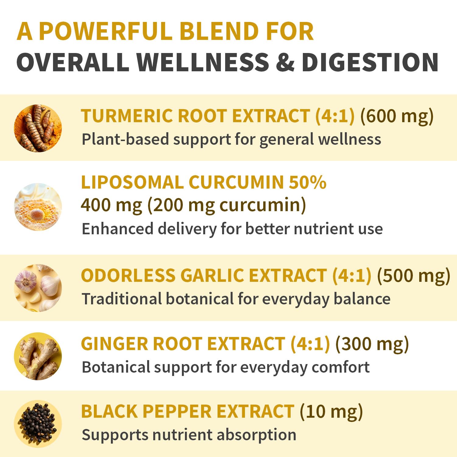 Liposomal Turmeric - High-Absorption Curcumin with Black Pepper | Non-GMO (120ct, Pack of 3)